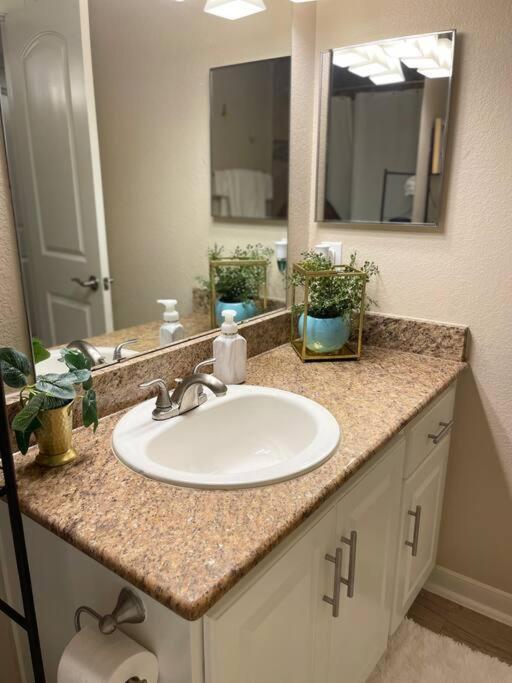 Beautiful/Spacious 2 Bedroom Houston Near Galleria Eksteriør bilde